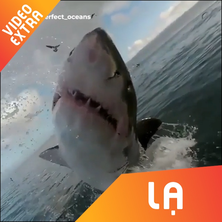 Canh tuong dang so khi ca map lao khoi mat bien, ke mat sat may quay hinh anh