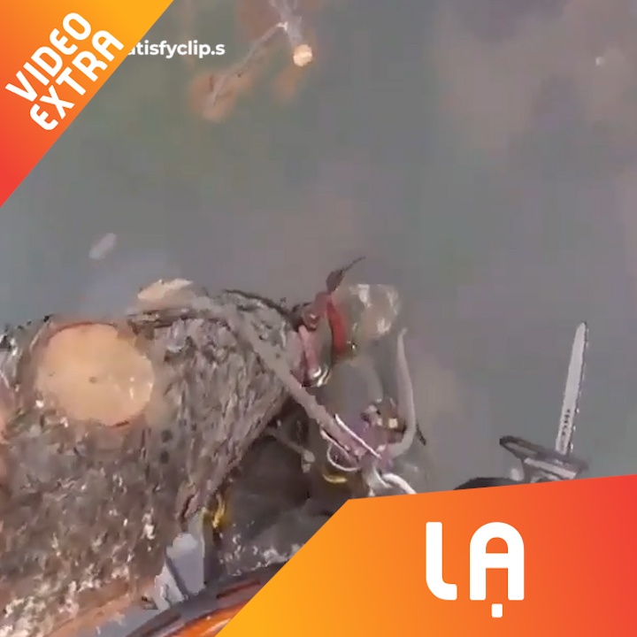 Can canh anh chang treo nguoi hang chuc met de cua cay hinh anh