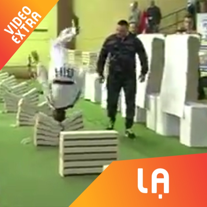 Chang trai nhao lon, dung dau dap vo 20 chong gach hinh anh