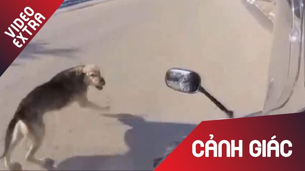 Cac pha te xe vi cho bong nhien chay ra duong dot ngot hinh anh