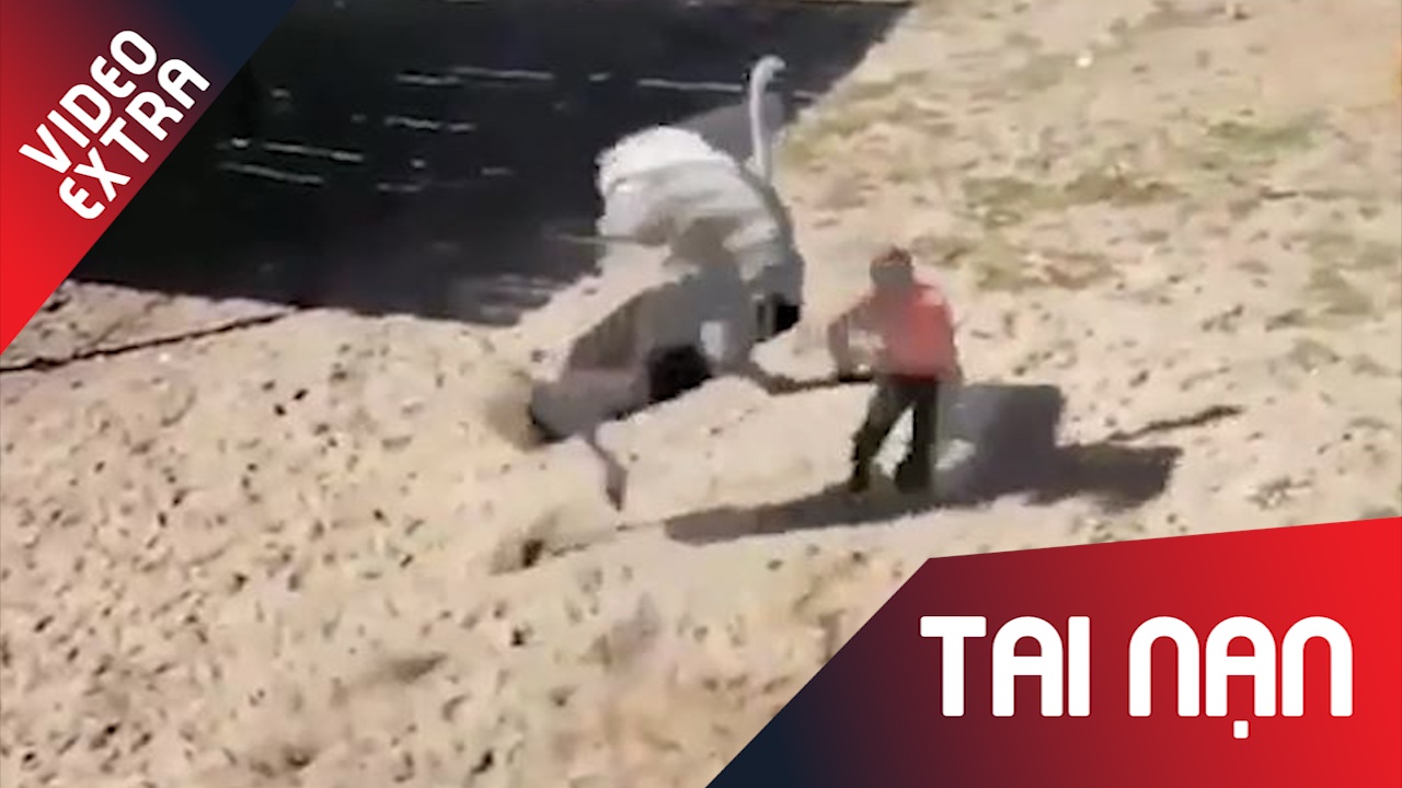 Nhan vien vuon thu bi da dieu da ran xuong suon hinh anh