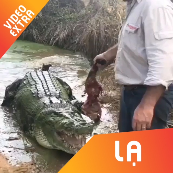 Nguoi dan ong tu tay cam moi cho ca sau khong lo an hinh anh