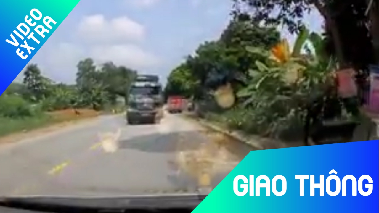 Ne chu cho qua duong, xe tai suyt huc dau vao oto hinh anh