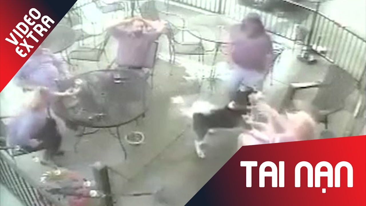 Vuot ve cho Husky, cuu nguoi mau bi can rach mat hinh anh