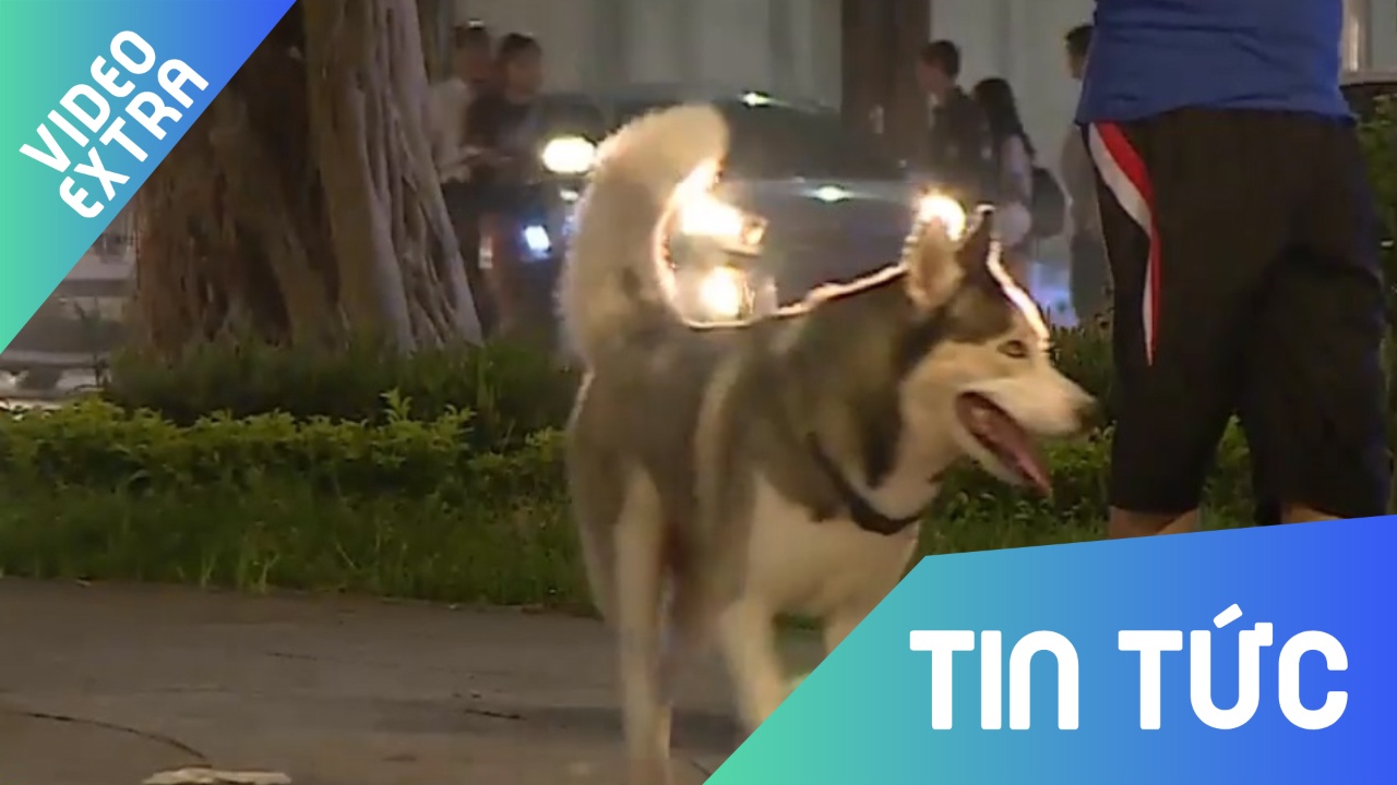 Kho xu ly cho nuoi tha rong hinh anh