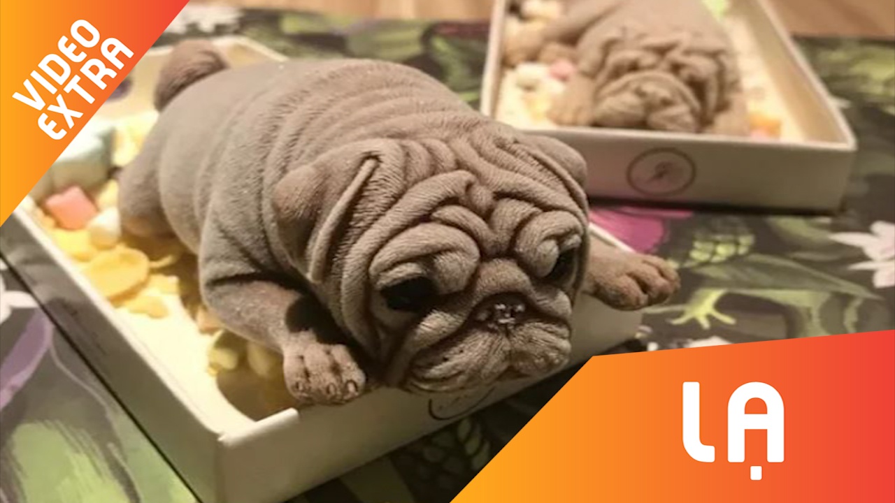 Nha hang 'bien hoa' khoi kem thanh hinh cun cung nhu that hinh anh