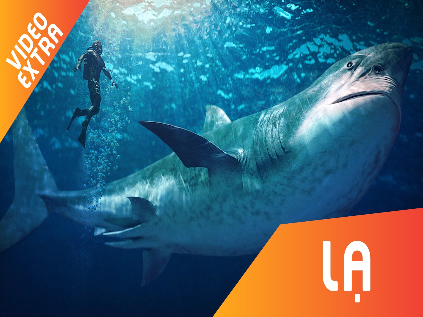 Ca map ti hon ra sao so voi to tien cua chung? hinh anh