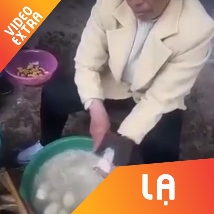 Nguoi phu nu cam dao to, got rau cu nhanh 'nhu may' hinh anh