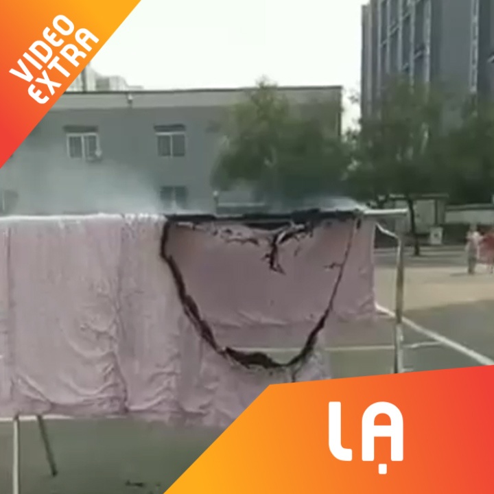 Chan tu chay, trung ga tu no trong dot nong kinh hoang tai Trung Quoc hinh anh