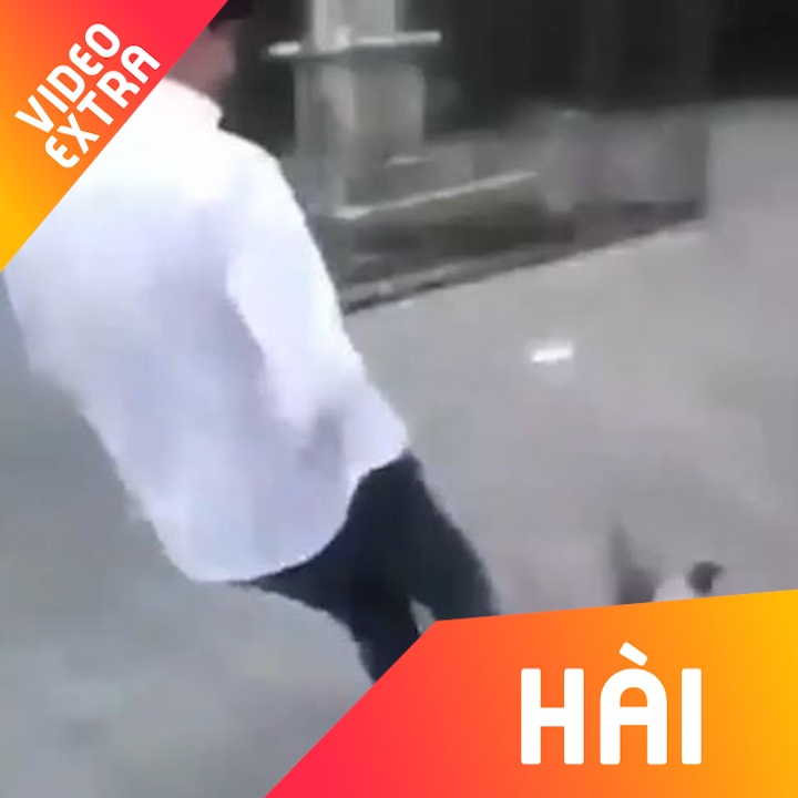 Nguoi dan ong bi 'qua bao' khi co tinh sut bay chim hinh anh