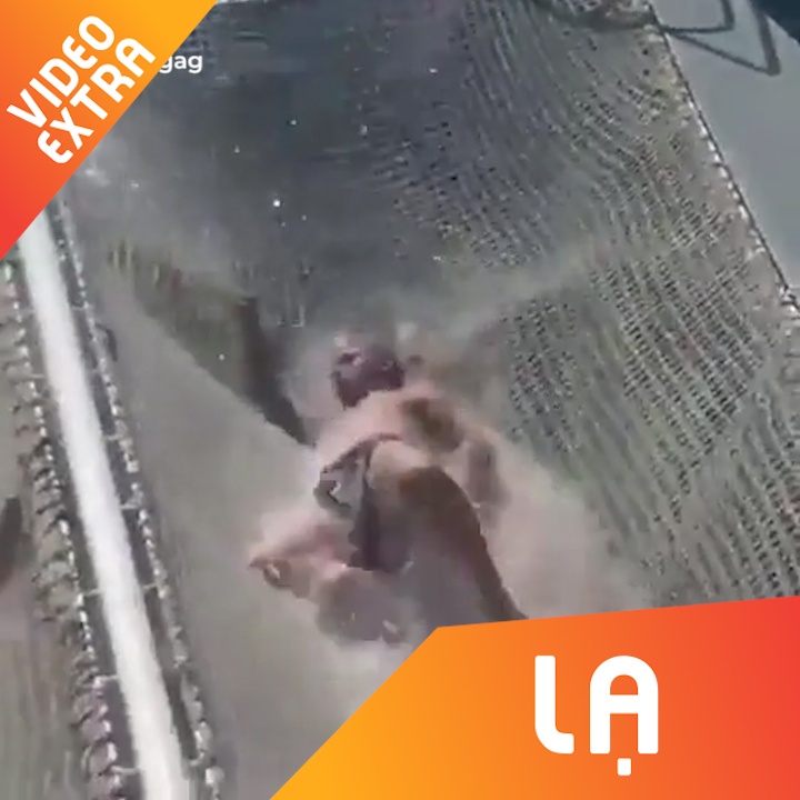 Anh chang nam tren luoi mac cho song vui dap de tranh nang hinh anh