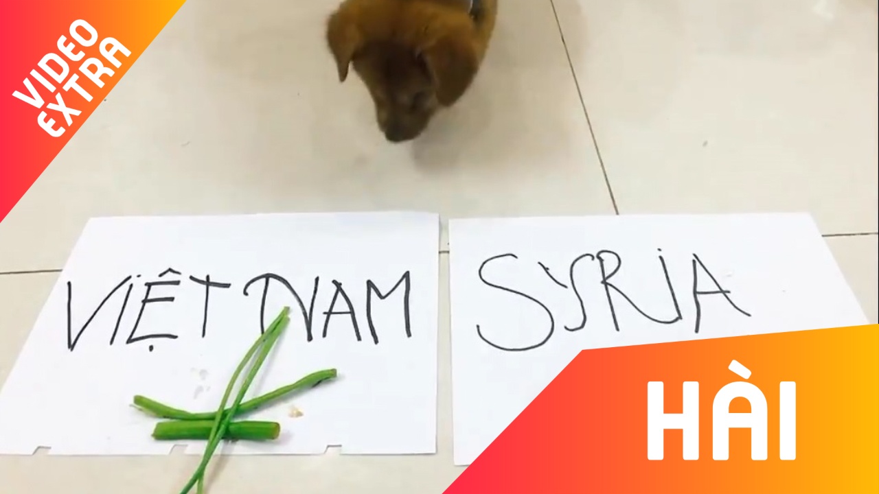 Chu cho con chon cua kho Viet Nam thang Syria hinh anh