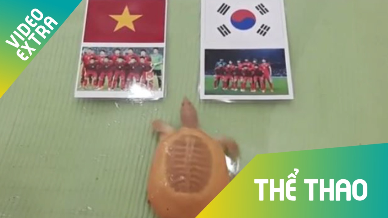 Dong vat du doan Viet Nam danh bai Han Quoc hinh anh