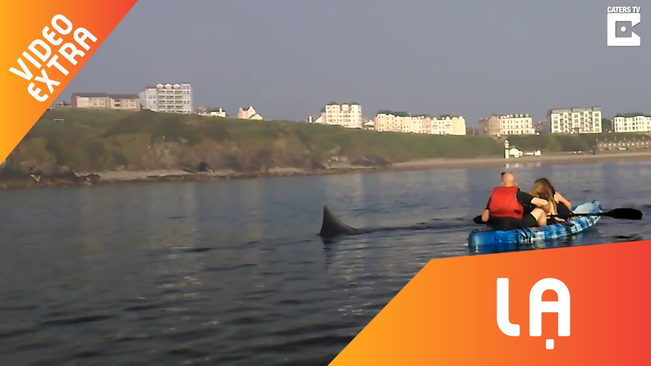 Ron nguoi voi canh ca map luon quanh nhom nguoi cheo thuyen hinh anh