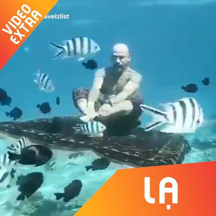 Nguoi dan ong ngoi lo lung tren tham bay duoi dai duong hinh anh