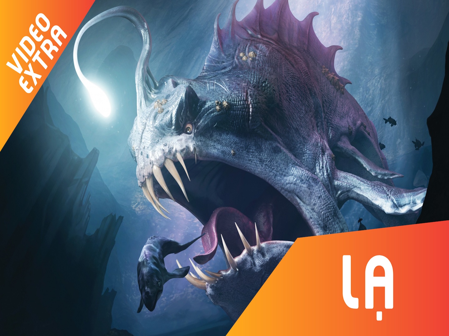 Nhung loai quai vat khong lo duoi long bien sau hinh anh