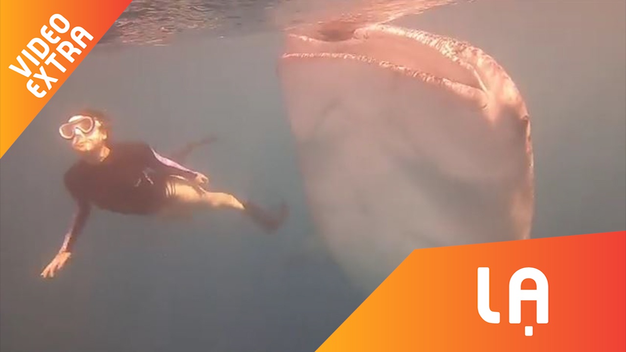 Co gai mao hiem luon quanh cung ca map voi khong lo hinh anh