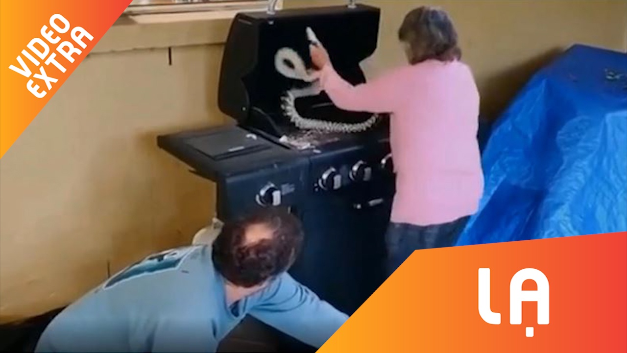 Cu ba 81 tuoi tay khong bat 2 con tran trong lo nuong hinh anh