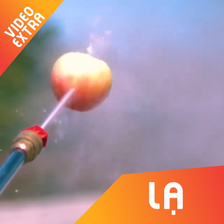 Xe ngot cac loai trai cay bang voi phun nuoc hinh anh