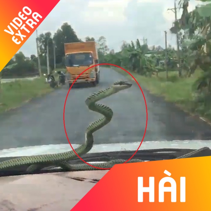 Ran bam len kinh truoc oto dung dua nhu can gat nuoc hinh anh