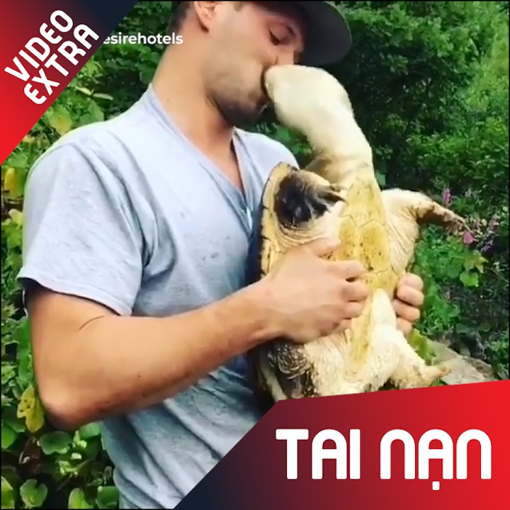 Hon rua, chang trai bi can suyt dut moi hinh anh