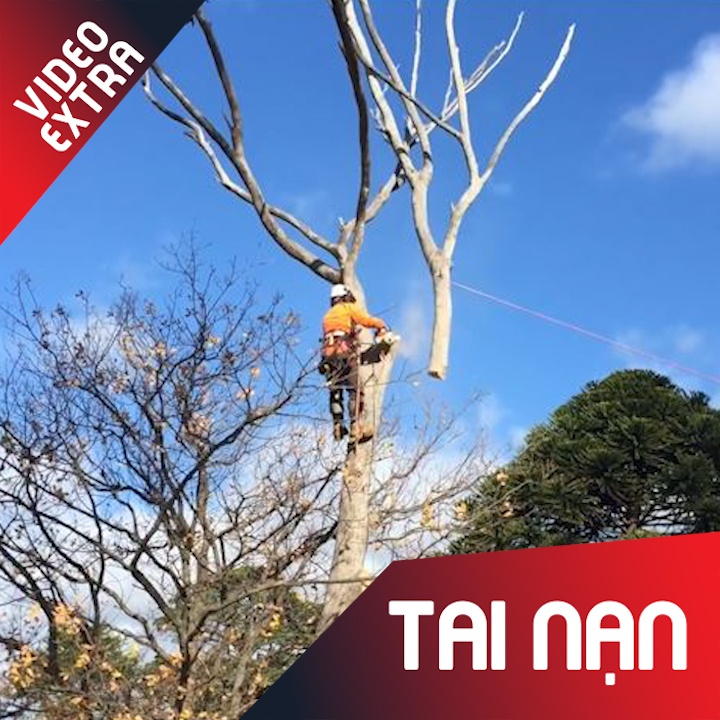 Nguoi dan ong suyt te tu tren cao khi dang cua canh cay hinh anh