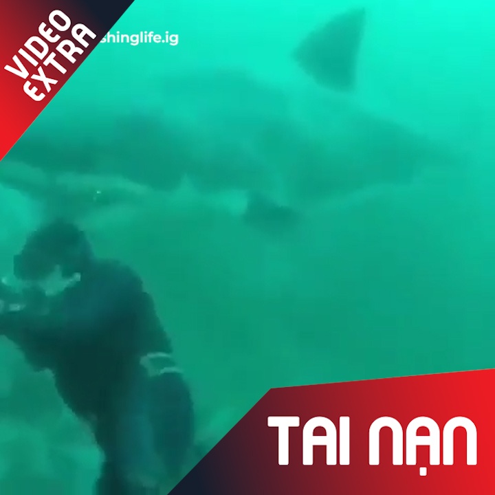 Ca map khong lo dot ngot dop moi trong tay tho lan hinh anh