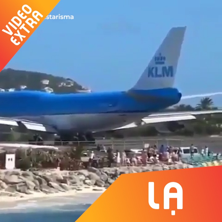 May bay cat canh thoi bay du khach tren bo bien hinh anh