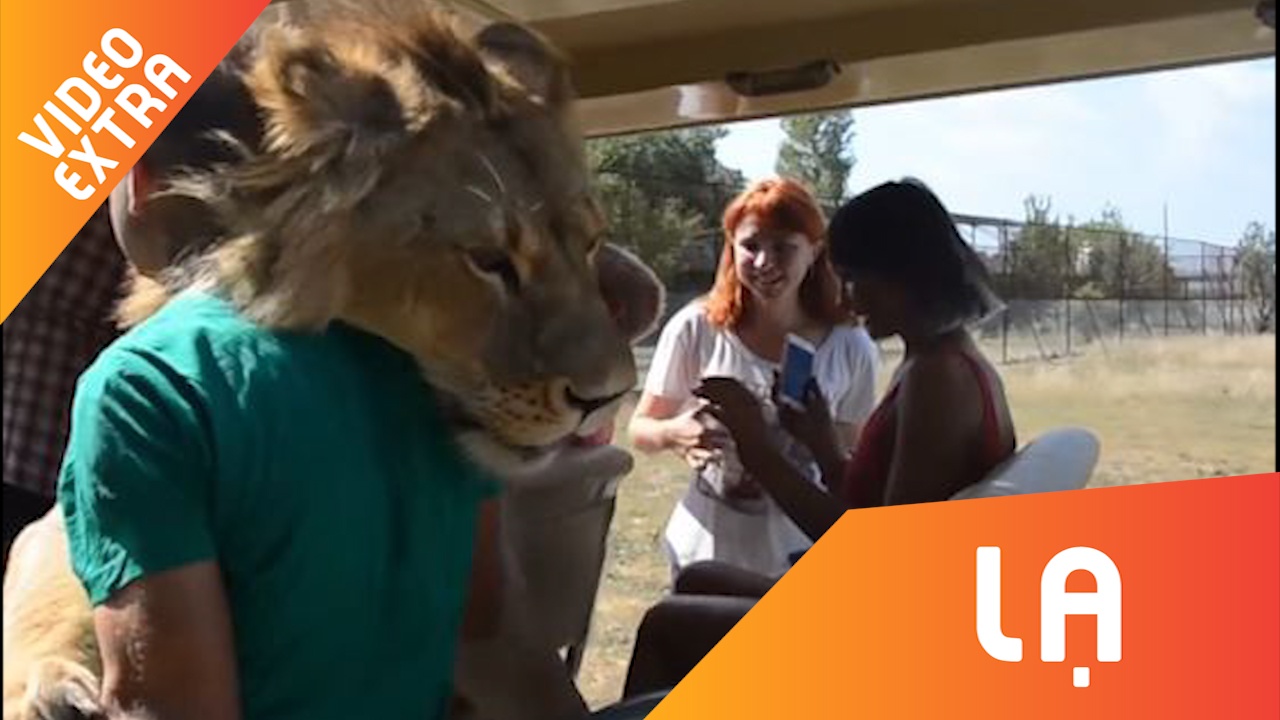 Su tu nhay chom len xe au yem dui dau liem mat du khach hinh anh