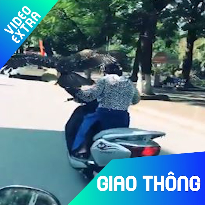 Nu tai xe lai xe may, tren tay cam dai bang dao pho hinh anh