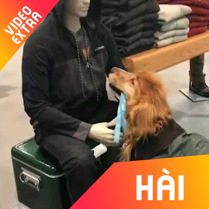 Chu cho toi nghiep vay duoi voi ma-no-canh de duoc vuot ve hinh anh