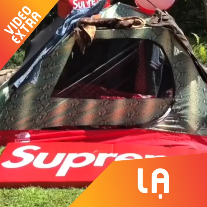 Cam trai sang chanh theo phong cach hoang gia A Rap hinh anh