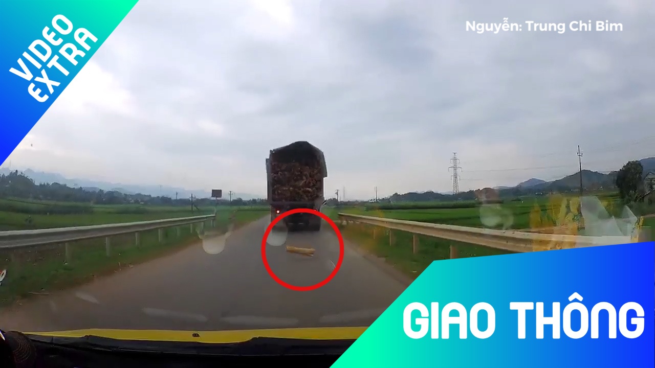 Xe cho go ho bat khien go roi giua duong hinh anh