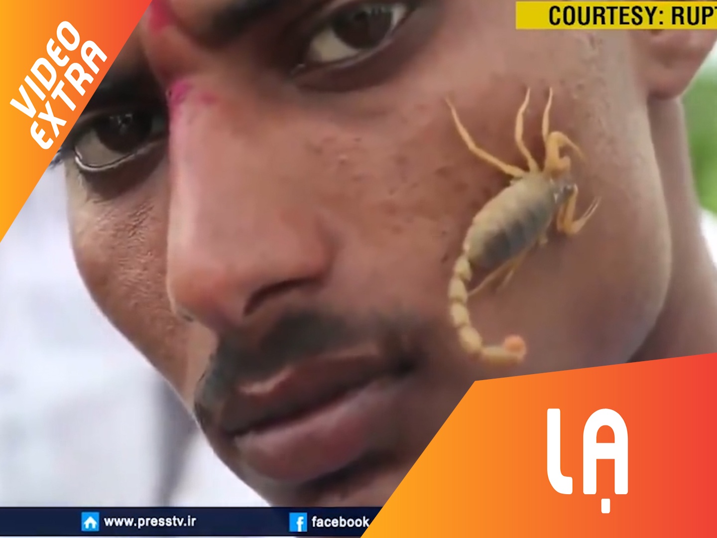 Ngoi lang lam ban voi bo cap hinh anh