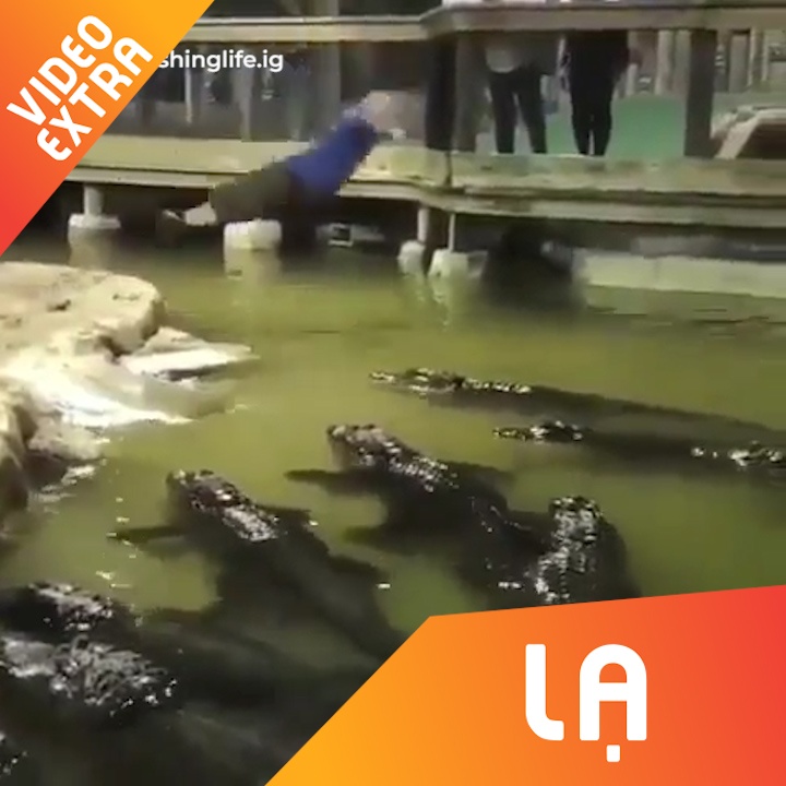 Nguoi dan ong bat ngo lao minh xuong dan ca sau hinh anh