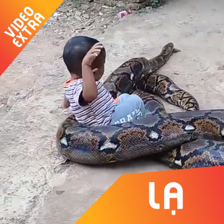 Hai hung canh be trai om dau, dua voi tran khong lo o Indonesia hinh anh