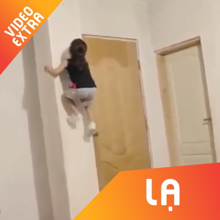 Be 4 tuoi tay khong leo tuong nhu 'nguoi nhen' hinh anh