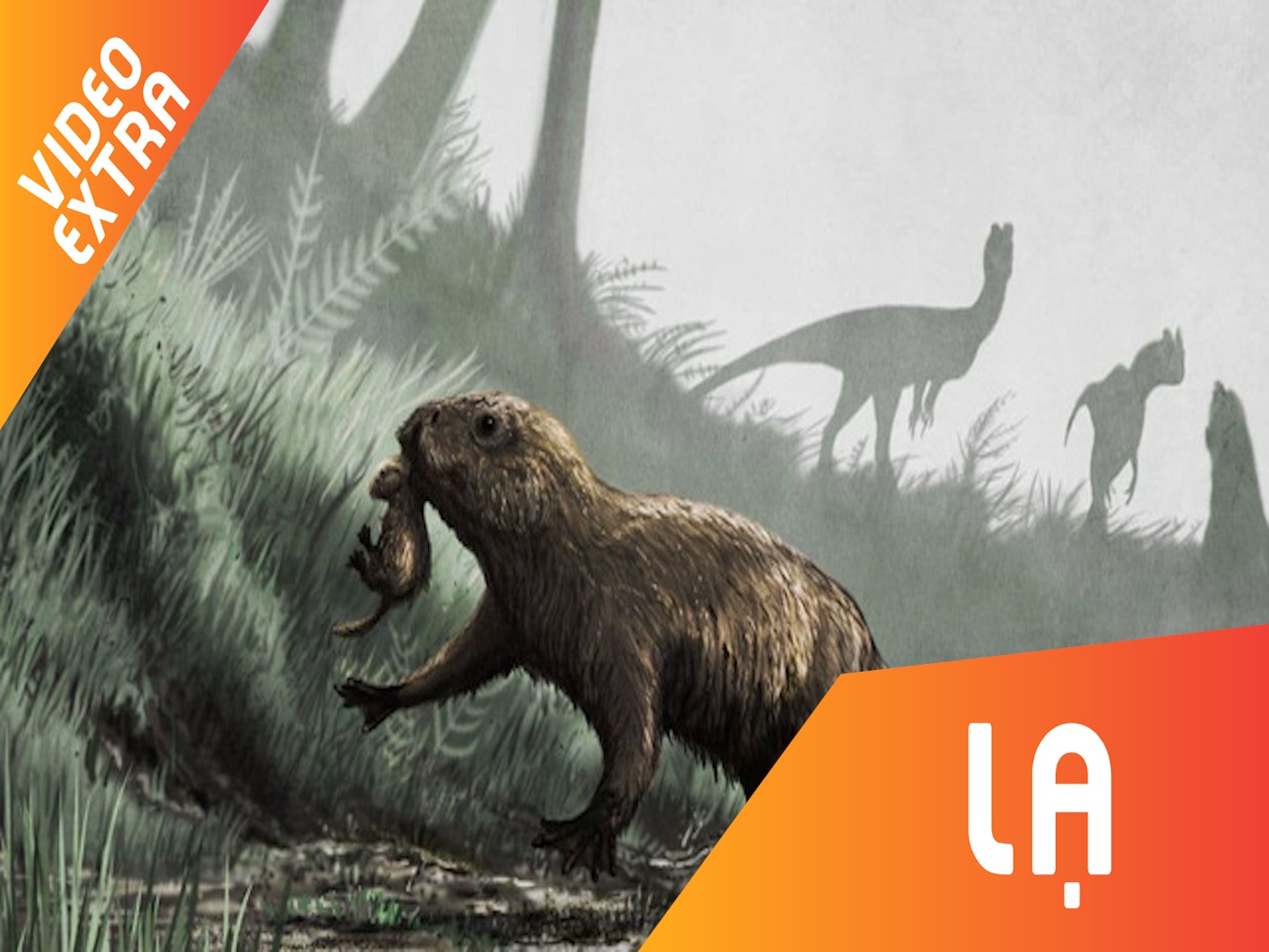 Tien trinh loai thu an co tien hoa thanh ca voi hinh anh