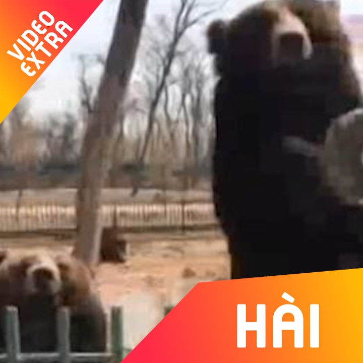 Bieu cam 'hon doi' dang yeu cua chu gau khi khong duoc cho an hinh anh