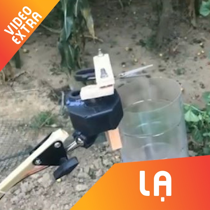 Cach hai trai cay chi voi nhung vat dung tai che hinh anh