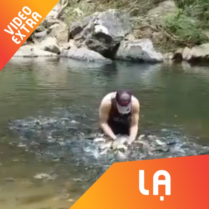 Doc dao hang nghin con ca boi xung quanh nguoi dan ong ben suoi hinh anh