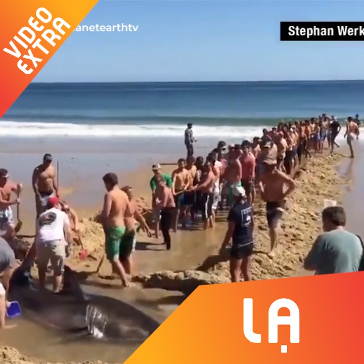 Hang tram nguoi loi ca map mac can ve voi bien hinh anh