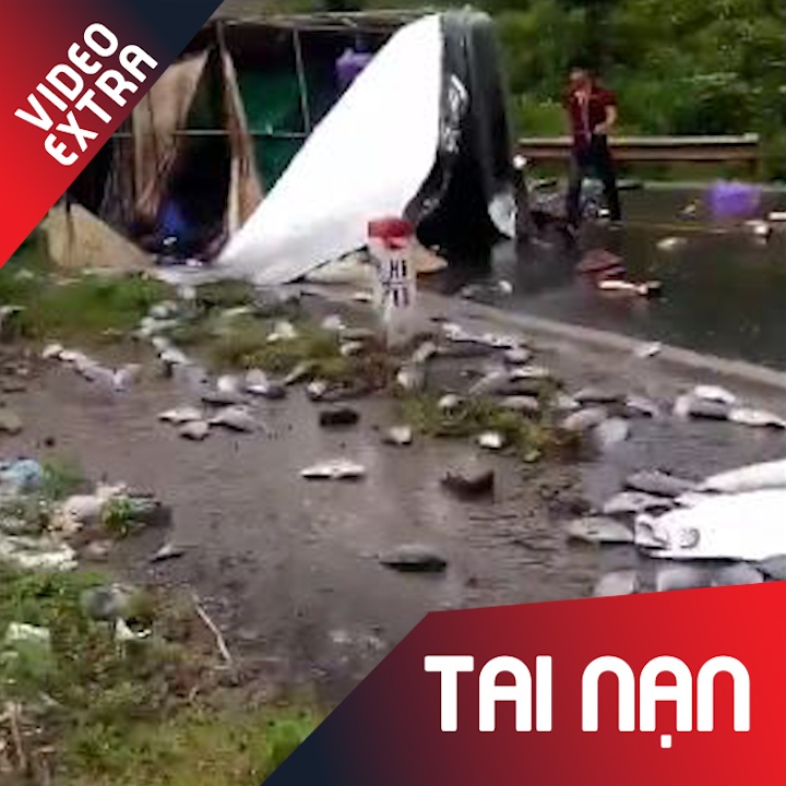 Lat xe tai cho ca, hang tan ca nhay tanh tach tren quoc lo hinh anh