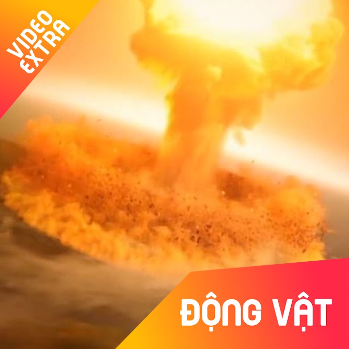 Ngay tuyet chung cua loai khung long dien ra nhu the nao? hinh anh