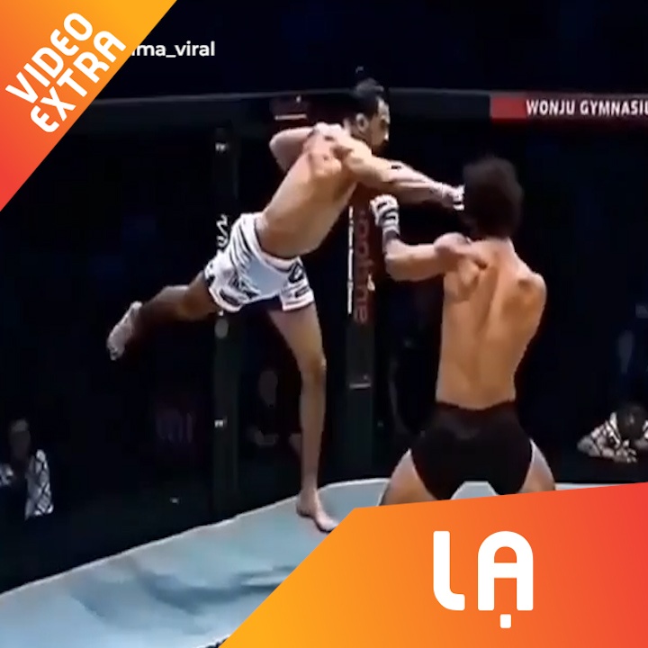 Vo si nhao lon, tung don khien doi thu khong kip tro tay hinh anh