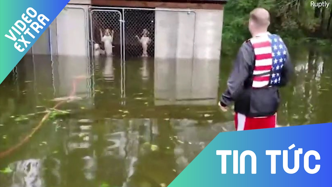 Nguoi dan ong cuu song dan cho bi nhot sau tran bao Florence hinh anh