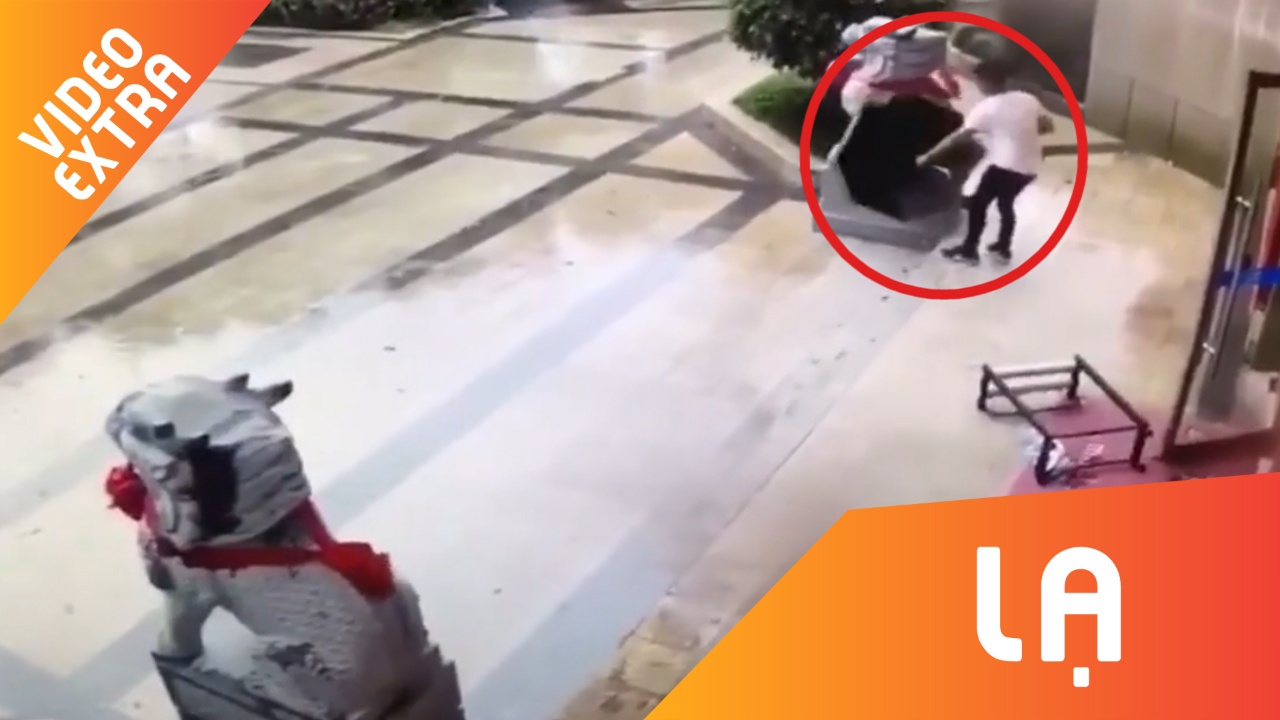 Thanh nien binh tinh chup cay du bay truoc con bao tai Macau hinh anh