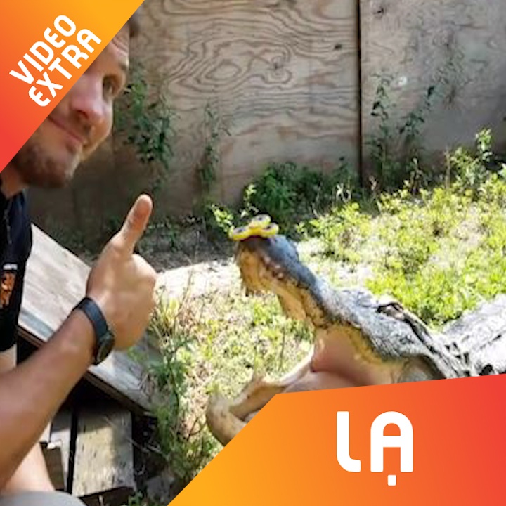 Nguoi dan ong choi fidget spinner tren mui ca sau hinh anh