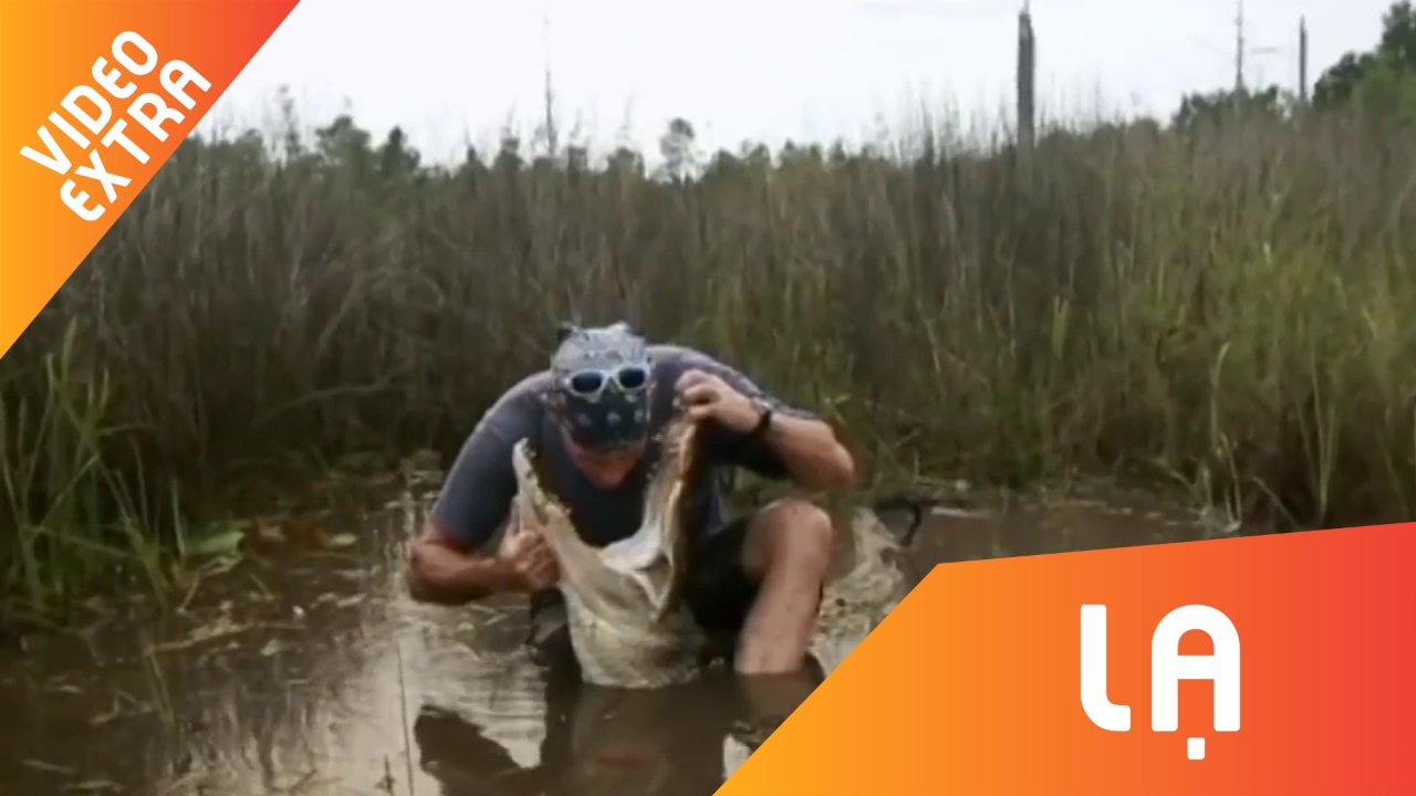 Dang ghi hinh, thanh vien chuong trinh thuc te bi ca sau can vao mat hinh anh