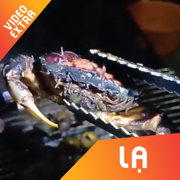 Hai hung canh ky sinh trung song trong minh cua dong hinh anh